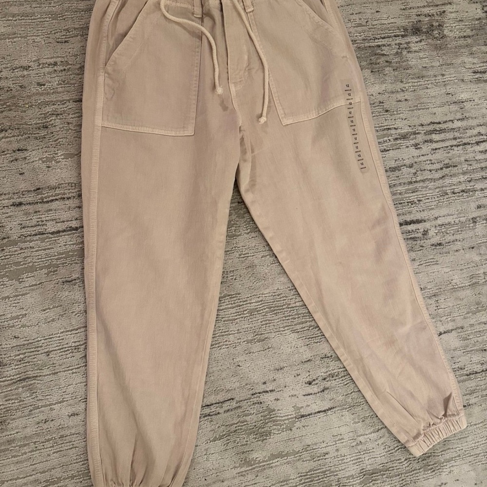 American Eagle Outfitters Tan Joggers